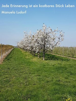 cover image of Jede Erinnerung ist ein kostbares Stück Leben